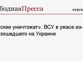 «Русские уничтожат»: ВСУ в ужасе из-за произошедшего на Украине