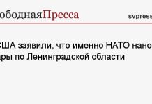 В США заявили, что именно НАТО наносит удары по Ленинградской области