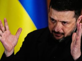 Зеленский высказался о выводе ВСУ из Донбасса и возможной встрече с Путиным