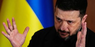 Зеленский высказался о выводе ВСУ из Донбасса и возможной встрече с Путиным