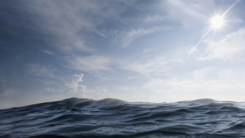 ABC News: во Флориде две девушки потерялись и провели 16 часов на доске в воде