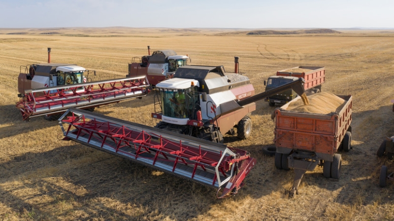 Абрамченко: проект указа об оплате в рублях экспорта агропродукции скоро поступит Путину