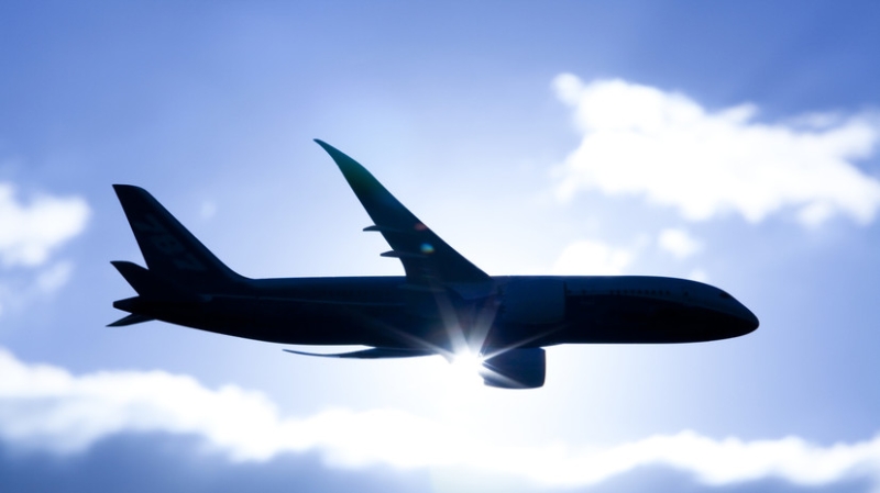 AFP: катастрофа в Индии стала первым случаем крушения Boeing 787 Dreamliner