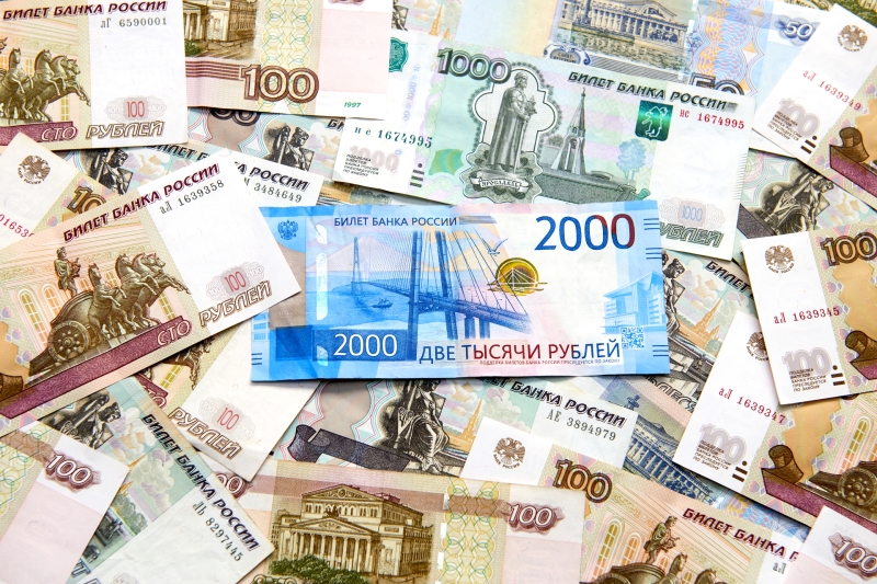 «Аморальная игра на чувствах»: в Госдуме предложили ввести отдельную уголовную статью за фиктивный сбор пожертвований