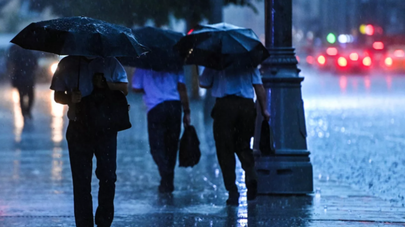 Больше трети месячной нормы осадков выпало в Москве за один час