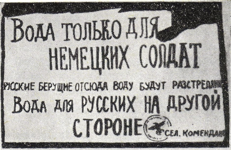 &laquo;Черепа размозжены, а руки связаны ремнями&raquo;: ФСБ опубликовала документы о зверствах нацистов в Донецкой области