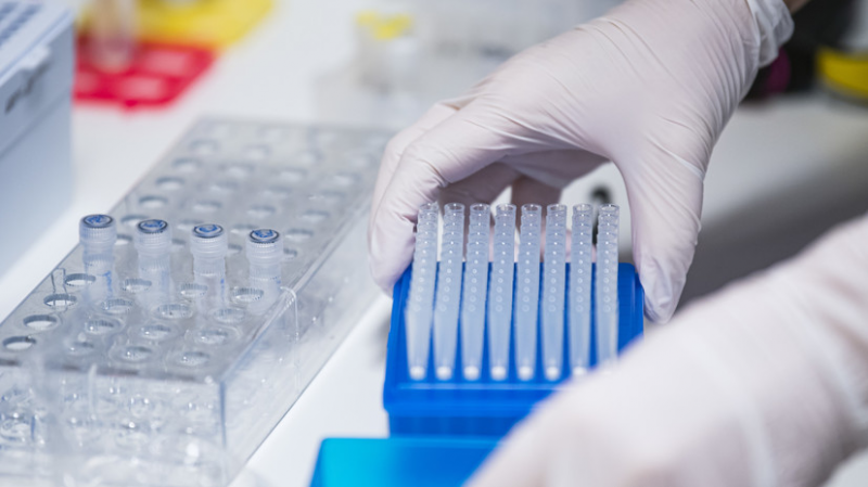 Число выявленных случаев COVID-19 в Молдавии достигло 256 187