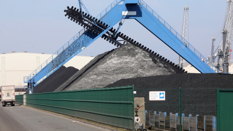 Член Общественной палаты России Данюк назвал действия ФРГ &laquo;выстрелом себе в ногу&raquo;