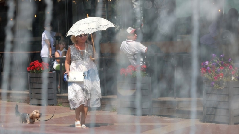 «Экстремально высокие температуры»: синоптики прогнозируют жару выше +40 °С в ряде российских регионов