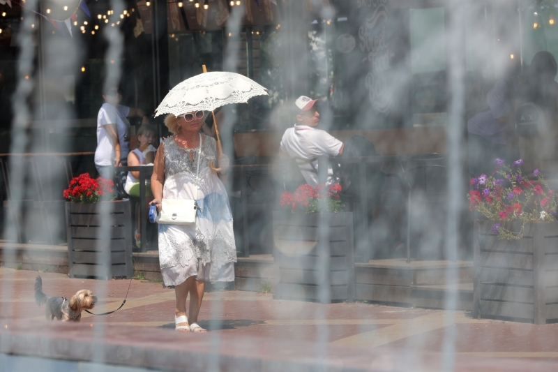 «Экстремально высокие температуры»: синоптики прогнозируют жару выше +40 °С в ряде российских регионов