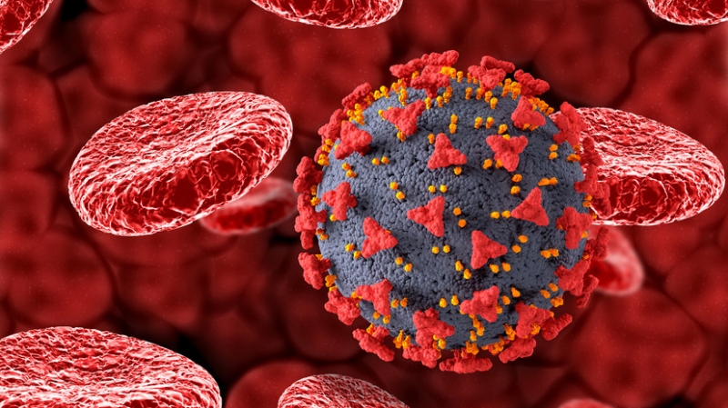 Эпидемиолог Пшеничная заявила, что коронавирус может спровоцировать аутоиммунную патологию