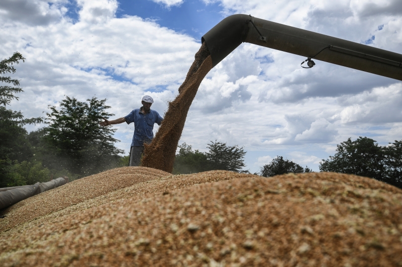 «Европейская бюрократия по своим объёмам превышает советскую»: как меняется политика ЕС в вопросах санкций против РФ