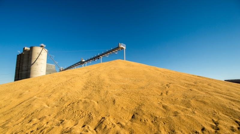 Формальные исключения: как в Москве отвергли позицию ЕС об отсутствии влияния санкций на продовольственную безопасность