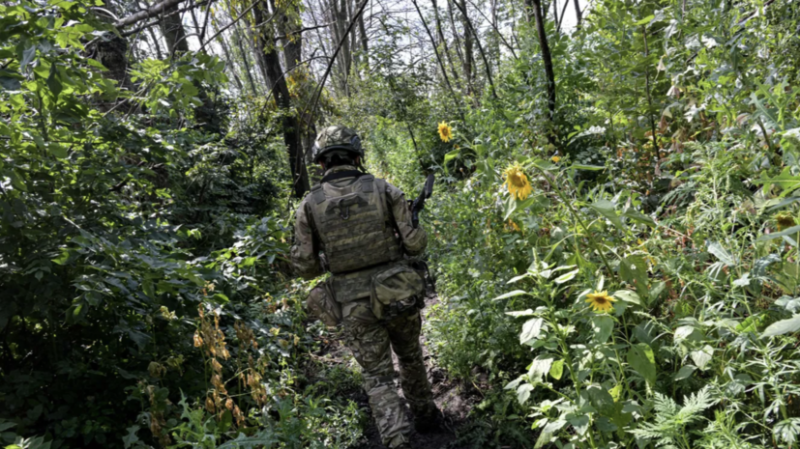 Гагин: ВС России на Авдеевском направлении ведут грамотную наступательную операцию