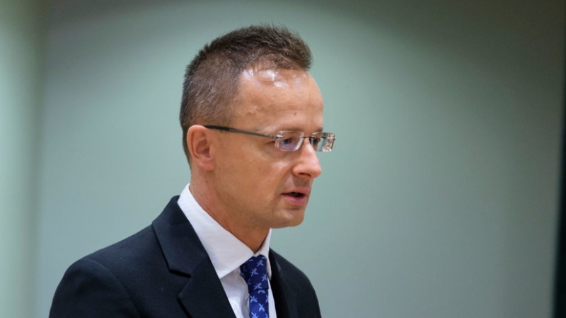 Глава МИД Венгрии заявил о возобновлении поставок нефти по «Дружбе»