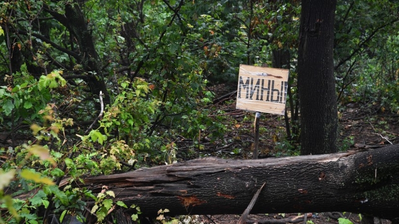 «Главное препятствие»: российские минные поля назвали проблемой для ВСУ в ходе контрнаступления