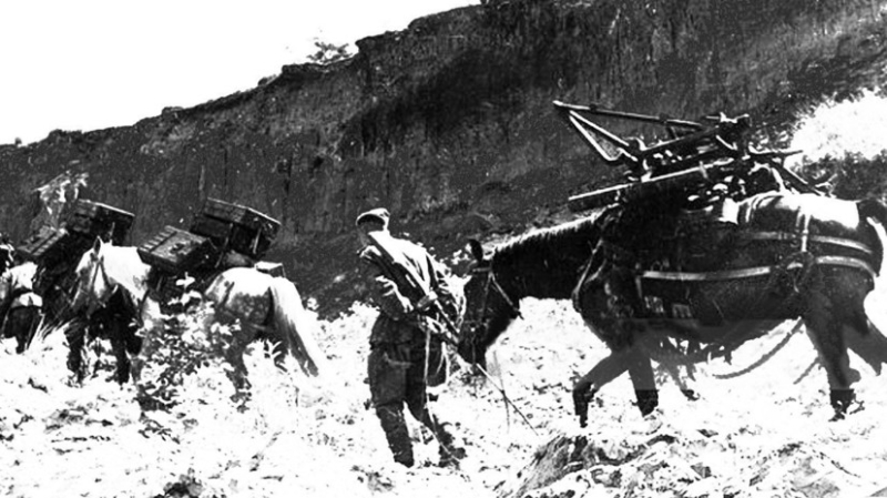 &laquo;Громила немцев в горах и на море&raquo;: историк &mdash; о &laquo;младшей сестре&raquo; легендарной боевой машины &laquo;катюша&raquo;