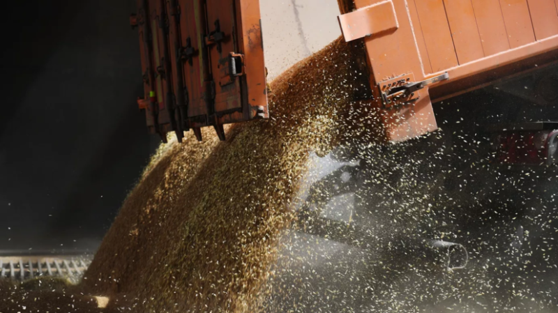 Грушко назвал следующие два месяца окном возможностей Запада для выполнения зерновой сделки