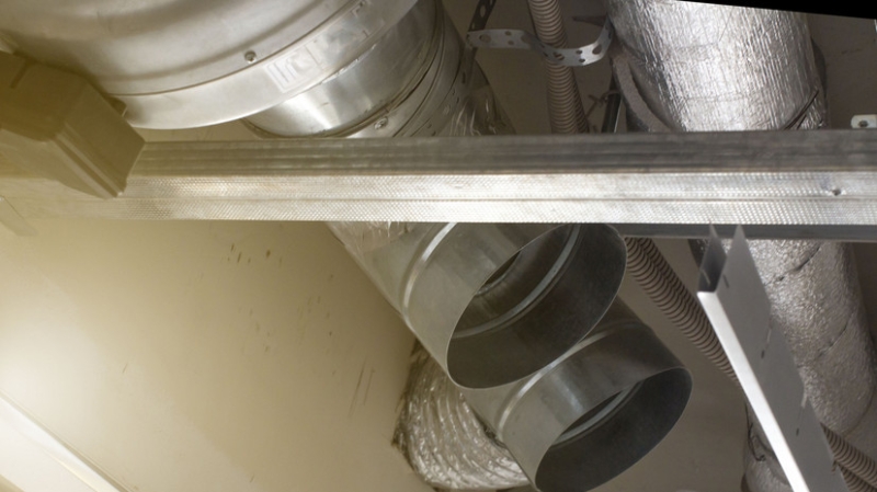 Хозяйка квартиры оставила себе кота, которого спасли из вентиляции в Уфе