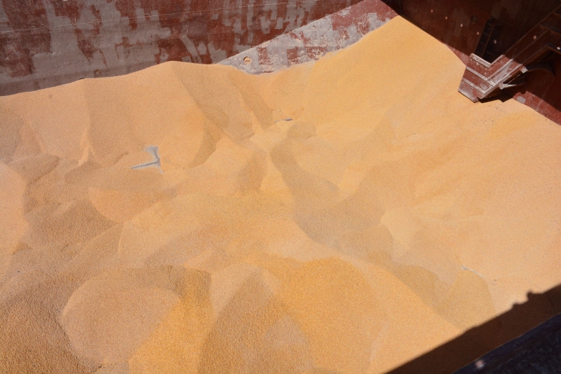 &laquo;Инициатива теряет смысл&raquo;: МИД РФ объявил о прекращении действия зерновой сделки