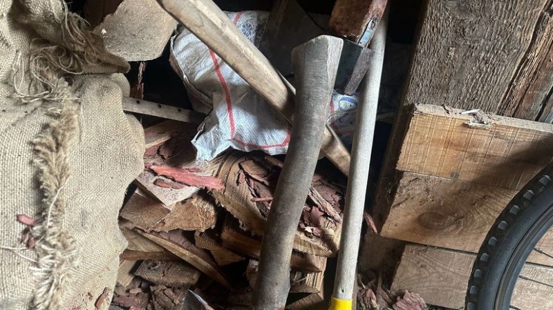 Источник: подозреваемая в убийстве детей в Красноярском крае признала вину