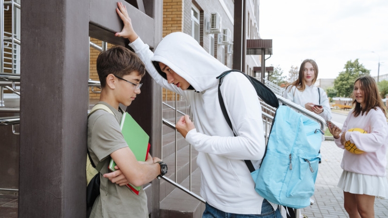 Изменить формат обучения: в Госдуме обсудили идею перевода детей в спецучреждения за регулярный буллинг