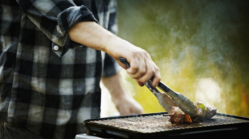 Юрист Соловьёв: приготовить шашлык на даче можно на расстоянии 5 метров от постройки