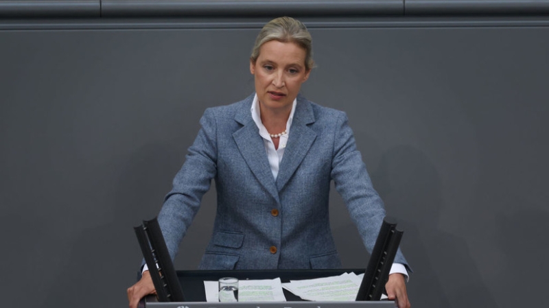 Лидер АдГ Вайдель призвала к возобновлению работы АЭС в ФРГ