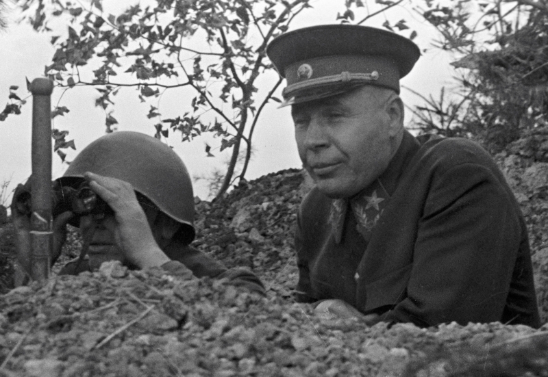 Маршал Семён Тимошенко: биография и факты