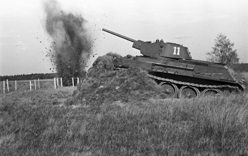 Маршал Семён Тимошенко: биография и факты