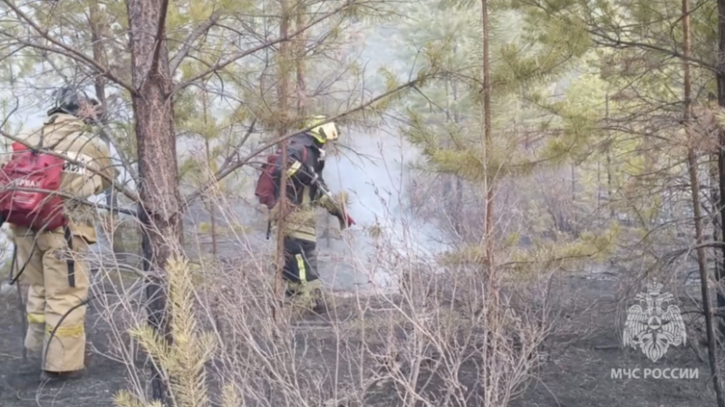 МЧС: площадь лесных пожаров в Забайкалье выросла до 156 тысяч гектаров