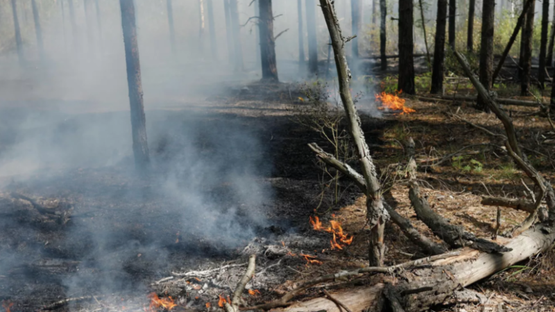Медики начали круглосуточное дежурство в Успенке Тюменской области из-за пожаров