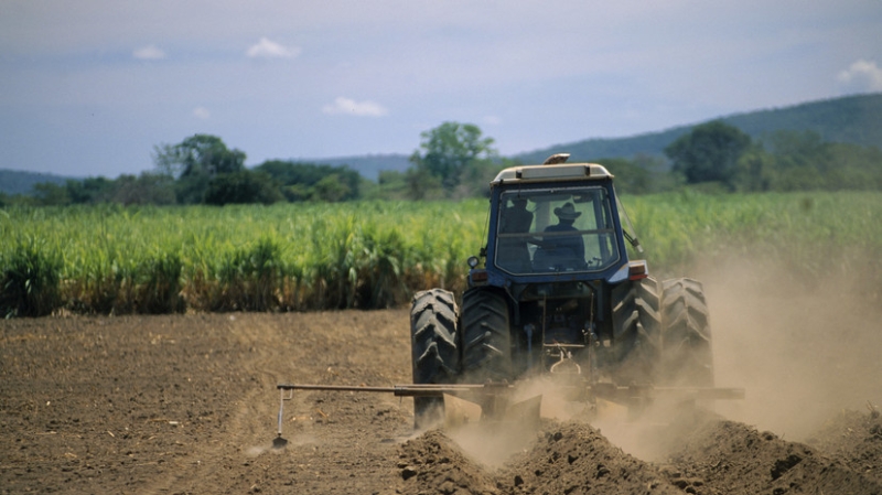 Минсельхоз Молдавии отказался вводить режим ЧП из-за засухи