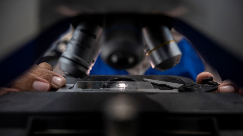 Минздрав Украины сообщил об обнаружении возбудителя холеры в воде в Николаевской области