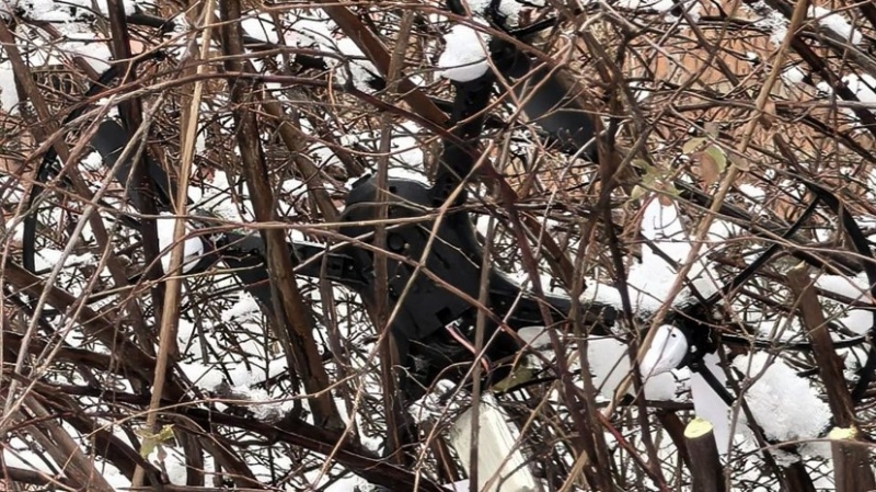 На Кубани в Абинске обнаружен упавший перед частным домом БПЛА