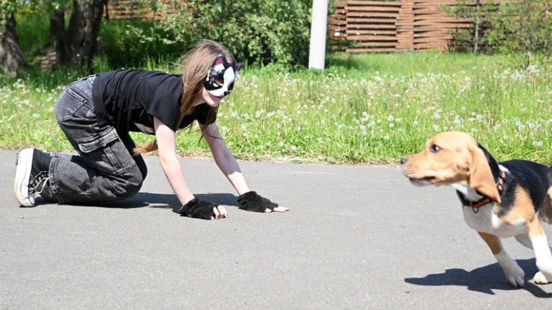 &laquo;Нарушают установленные порядки&raquo;: в Госдуме обсудят, считать ли опасным движение квадроберов