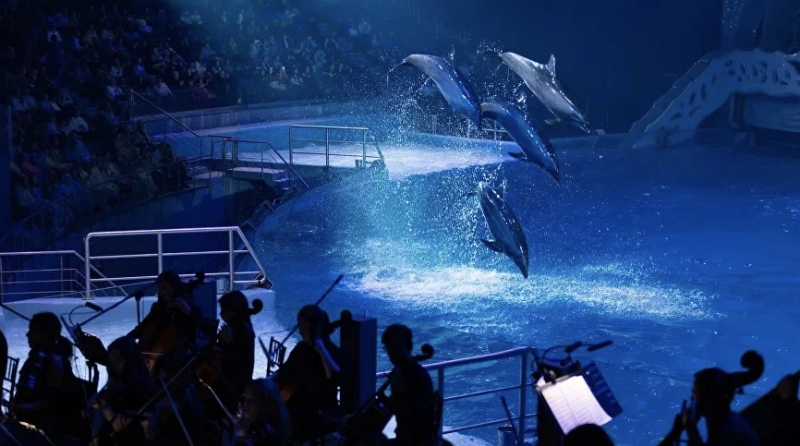 Насыщенная программа: в майские праздники пригласят на выставку &laquo;В далёкой-далёкой галактике&raquo; и сыграют рок-хиты