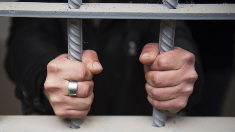 &laquo;Навсегда изолировать от общества&raquo;: Совфед одобрил закон о пожизненном заключении педофилов