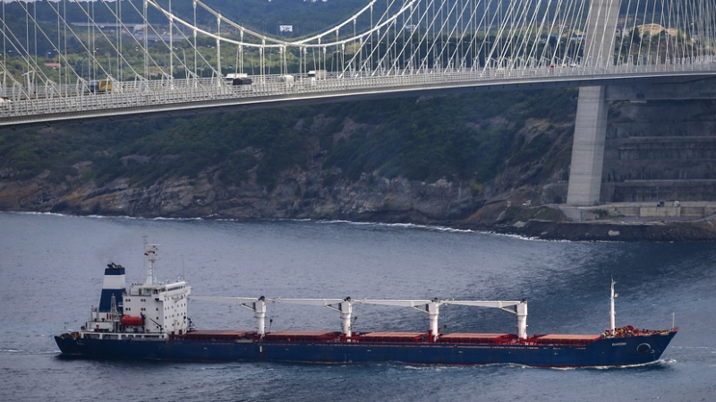 «Не может быть и речи о гарантиях безопасности»: как Россия отреагировала на провокацию Киева на фоне зерновой сделки