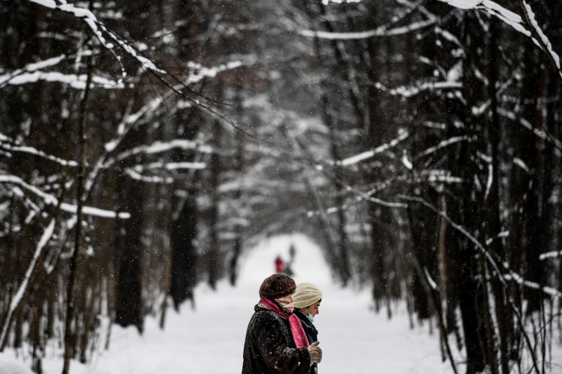 Не потерять стаж: в Минтруде объяснили правила заполнения электронных трудовых книжек