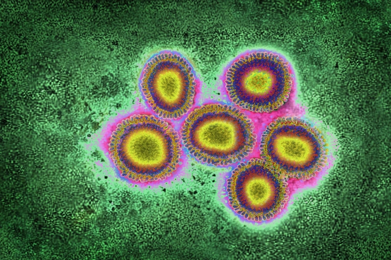 «Об эпидемии пока говорить рано»: директор НИИ гриппа — о «реванше» ОРВИ после трёх лет пандемии COVID-19