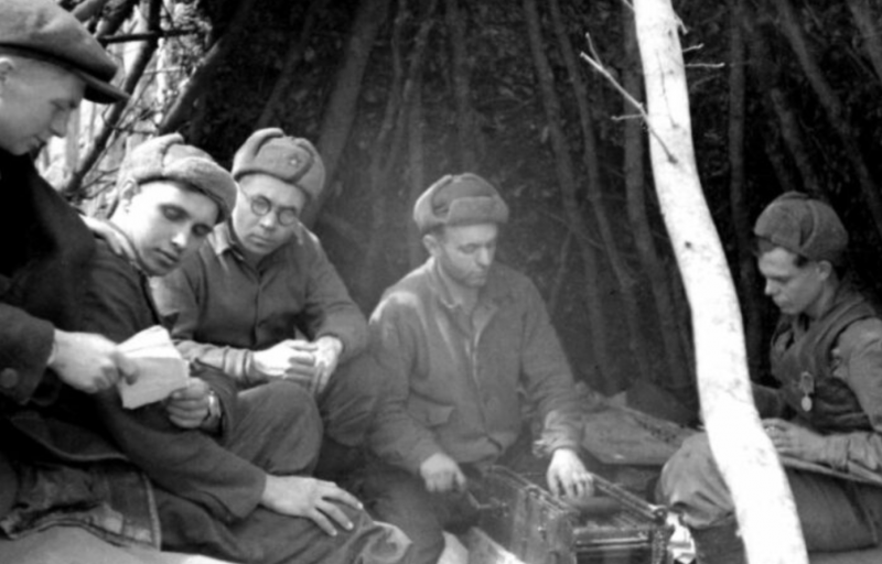 Объединение сил: какую роль Центральный штаб партизанского движения сыграл в борьбе с нацистами