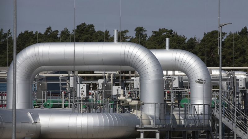 Обозреватель Forbes Рапоза заявил, что Европа вернётся в Средневековье без газа из России