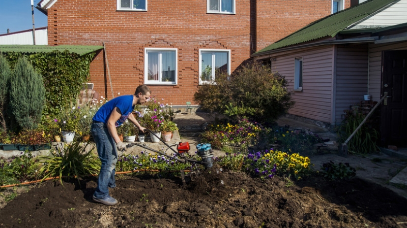 Опрос: за год число желающих проводить отпуск на даче россиян снизилось до 42%