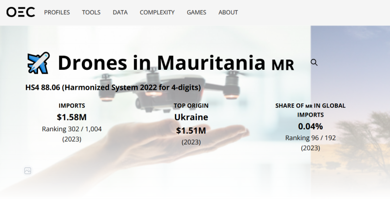 «Пиар в стиле «Исламского государства»: что связывает Киев с вооружёнными группировками в Африке