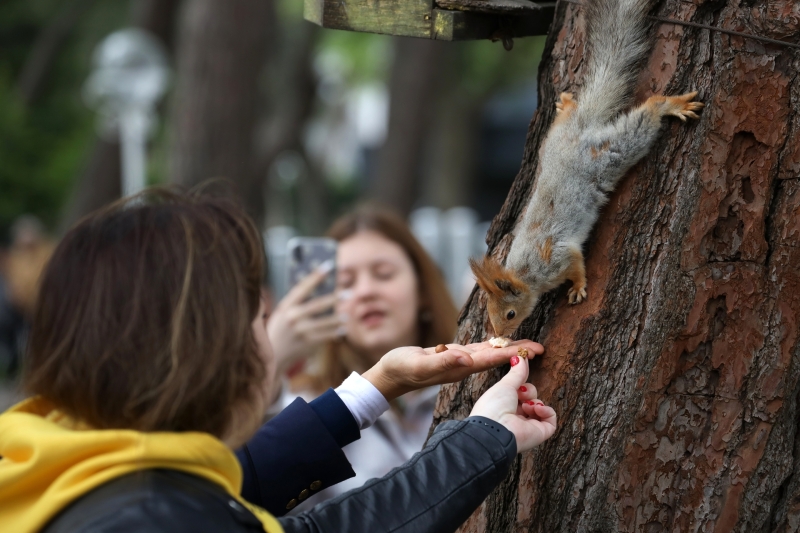 По родным маршрутам: где россияне планируют отдыхать в майские праздники
