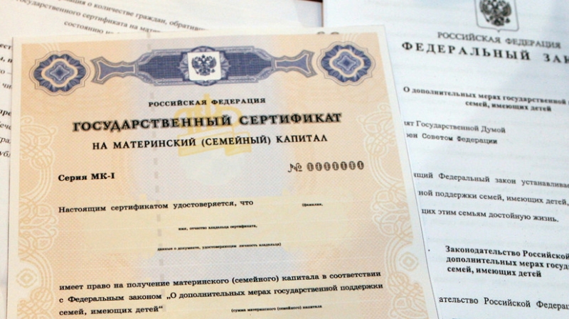 &laquo;Поддержку получат более 730 тысяч семей&raquo;: Госдума одобрила закон о разовой выплате родителям из остатка маткапитала