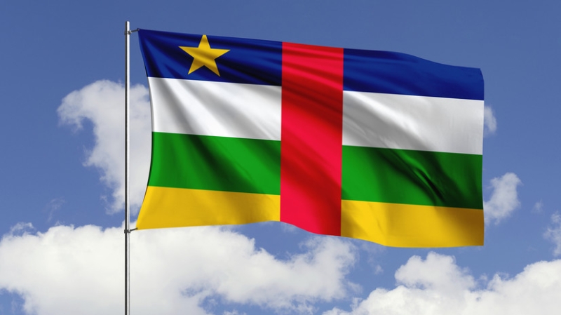 Посол: ЦАР заинтересована в активизации диалога с Россией в топливной сфере