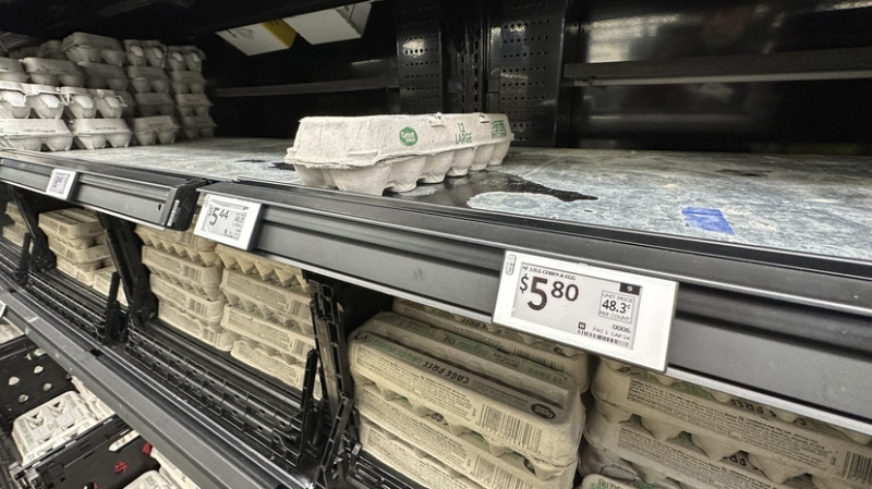 Пустые полки в магазинах и мексиканские &laquo;яйцекартели&raquo;: как птичий грипп довёл США до &laquo;яичного кризиса&raquo;