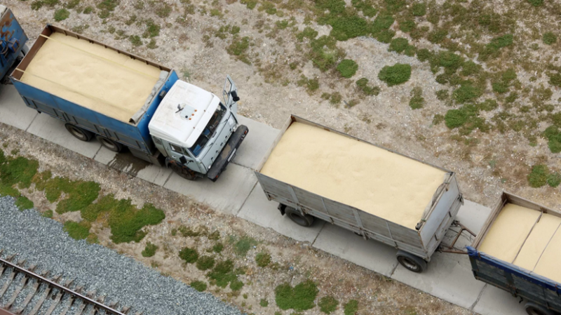 Путин и Си Цзиньпин обсудили тему экспорта российского зерна в Китай